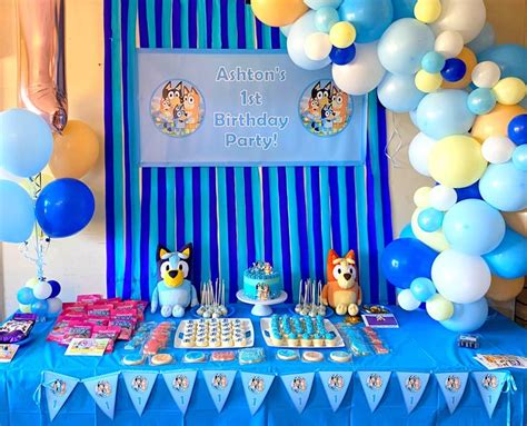 Bluey Birthday Party Decorations Health