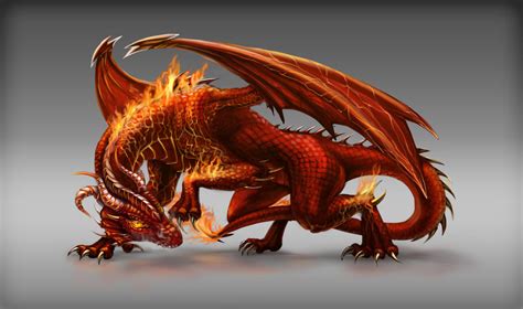 Fire Dragon Game Npc Design By Fallfox On Deviantart