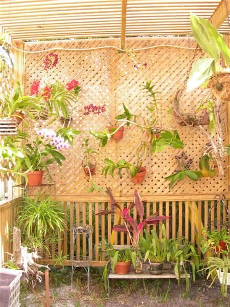 21 Orchid Shade House Ideas In 2021 Shade House Orchid House Orchids