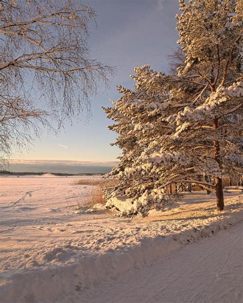 Sunny Winter Morning By The Sea In Finland Reurope