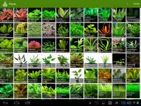 HyPlants Aquarium Plants Android Apps on Google Play