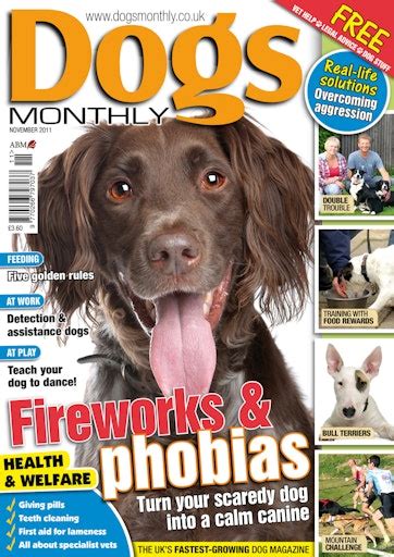Dogs Monthly Magazine November 2011 Subscriptions Pocketmags