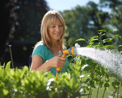 When Is The Best Time To Water Plants Expert Tips On Watering Your