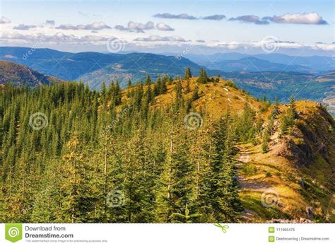 Mt St Helens Ford Pinchot National Forest Foto De Stock Imagem De