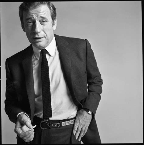 Montand's mother was a devout catholic, while his father held strong communist beliefs. Yves Montand : six mois après sa mort, son corps a été ...