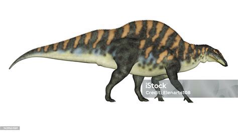 Stock Fotografie Dinosaurus Ouranosaurus 3d Render Stáhnout Obrázek