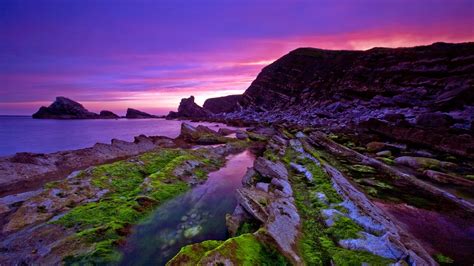 Wallpaper Beautiful Purple Sunset Coast 1920x1200 Hd Picture Image