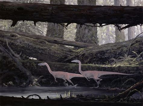 Douglas Henderson Portfolios Prehistoric Animals Ancient Animals