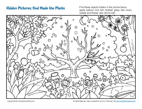 God Made The Plants Hidden Pictures Childrens Bible Activities