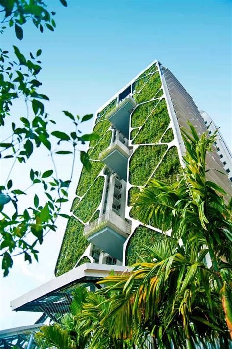 Green Architecture Eco Friendly Architecture Design