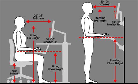 Ergonomics And Posture For Computer Users Avadirect