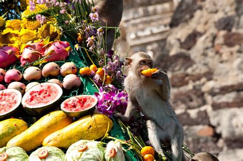 Festival Del Mono Tailandia Un Bufé Para Monos Que Se Ponen Como El