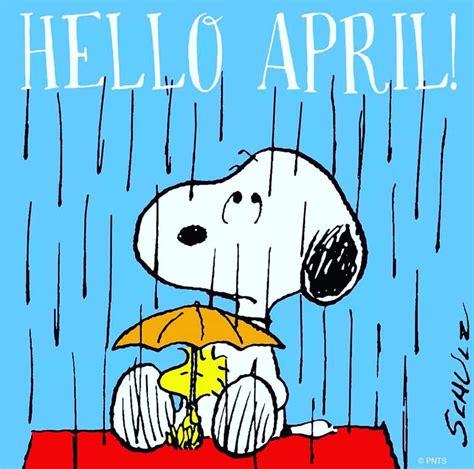 Pin By Pam Stanton On Snoopy The One And Only Snoopy Snoopy Love
