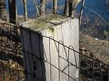 Welded Wire Fence Posts Images