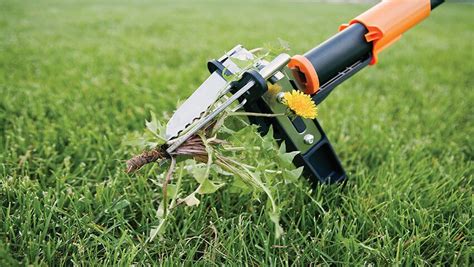 Many commercial weed killers available in the market today are designed in such a way that they can handle the pesky and annoying weeds present in the. 12 Best Pet Safe Weed Killers - BellePlant