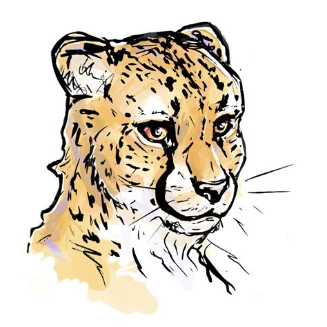 Cheetah Portrait Weasyl