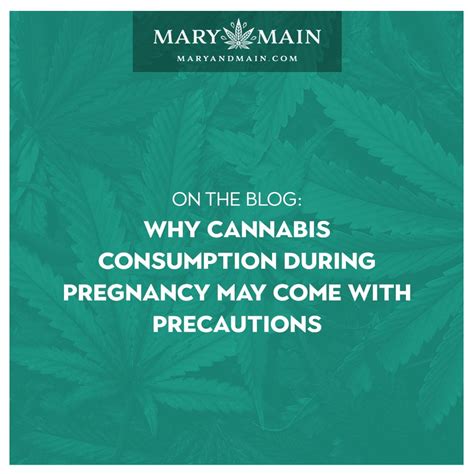Why Cannabis Consumption During Pregnancy May Come With Precautions