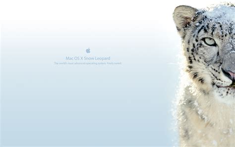 Maybe you would like to learn more about one of these? Snow Leopard Happy Birthday - 2560x1600 Wallpaper - teahub.io