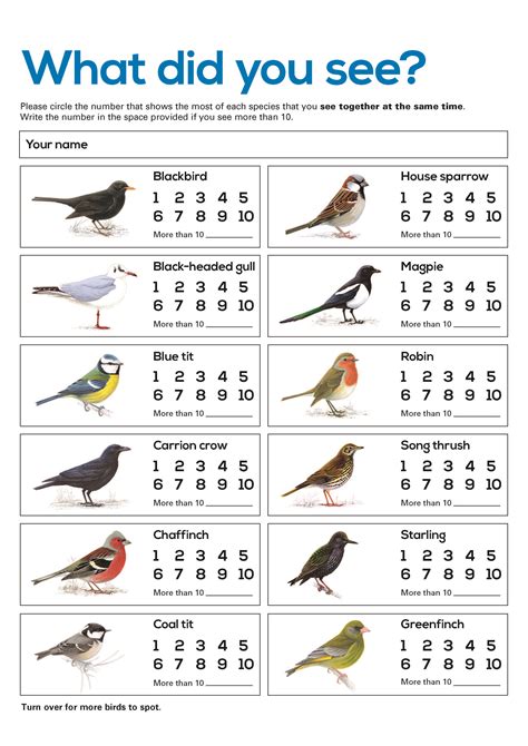 Pin On How To Be A Better Birdwatcher