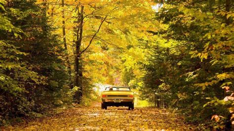 How To Find The Best Fall Colors In Wisconsin Save Money