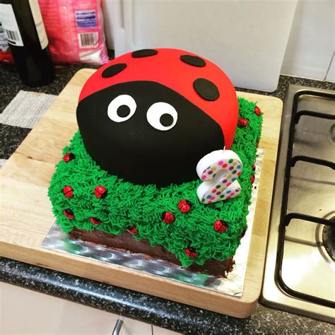 Ladybug 2nd Birthday Cake 2 Birthday Cake Fun Cakes Inspiration For
