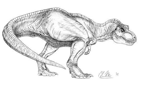 Pin By Jeremy Lowe On Jurassic Park And World Dinosaur Sketch Dinosaur Drawing Jurassic