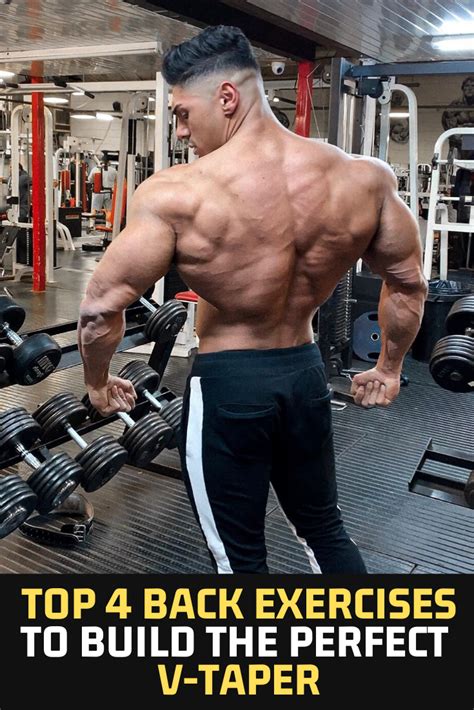 Top 4 Back Exercises To Build The Perfect V Taper Back Exercises Back Workout Bodybuilding