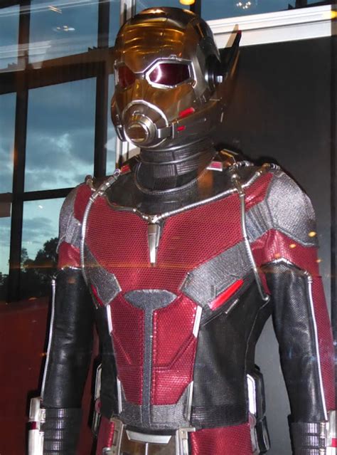 Hollywood Movie Costumes And Props Paul Rudds Ant Man Costume From