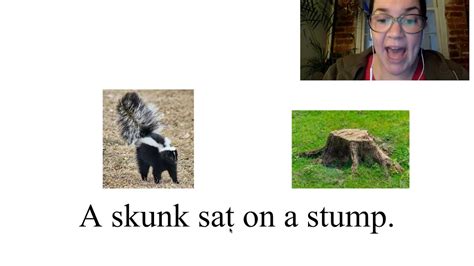 A Skunk Sat On A Stump Youtube