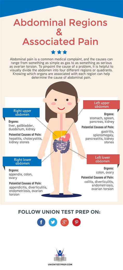 The Organs And Illnesses Associated With Each Abdominal Quadrant