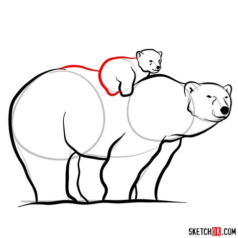 How To Draw A Polar Bear Mom With A Baby Bear On Her Back Sketchok