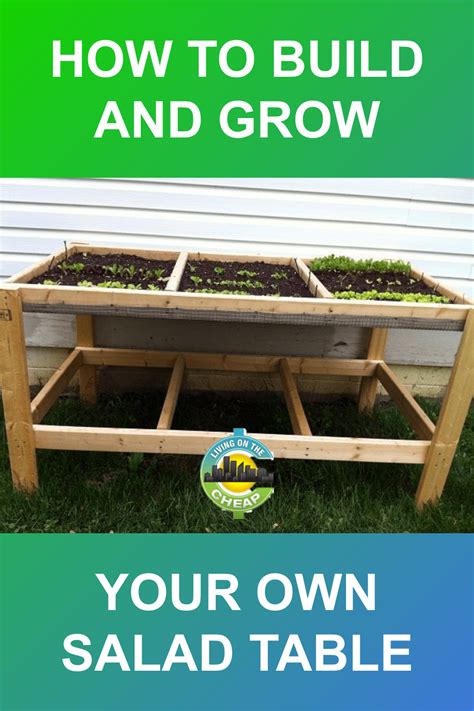 How To Build And Grow Your Own Salad Table Living On The Cheap In