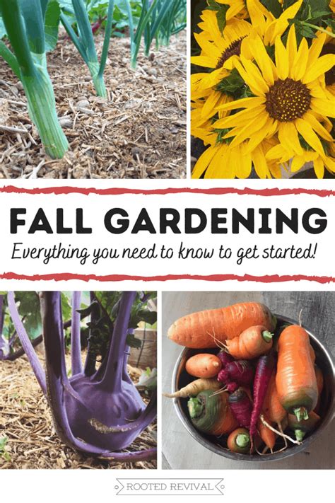 New Fall Gardening Pin Rooted Revival