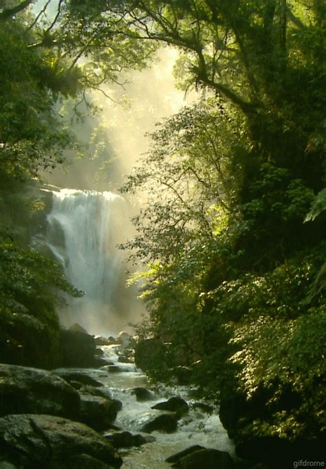 Beautiful Waterfall  Pictures Photos And Images For Facebook