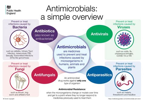 Antibiotic Guardian Antimicrobials Antimicrobial Resistance And