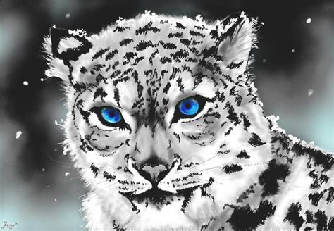 Snow Leopard By Fiyapheonix On Deviantart