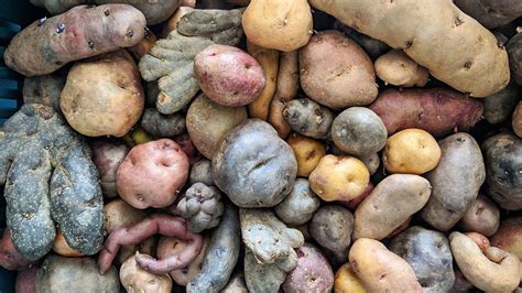 How The Humble Potato Changed The World Bbc Travel