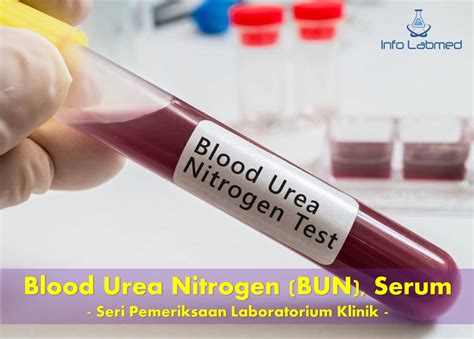 Blood Urea Nitrogen Bun Serum Seri Pemeriksaan Laboratorium Klinik