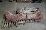 Biggest Dinosaur Fossil Ever Found Pictures