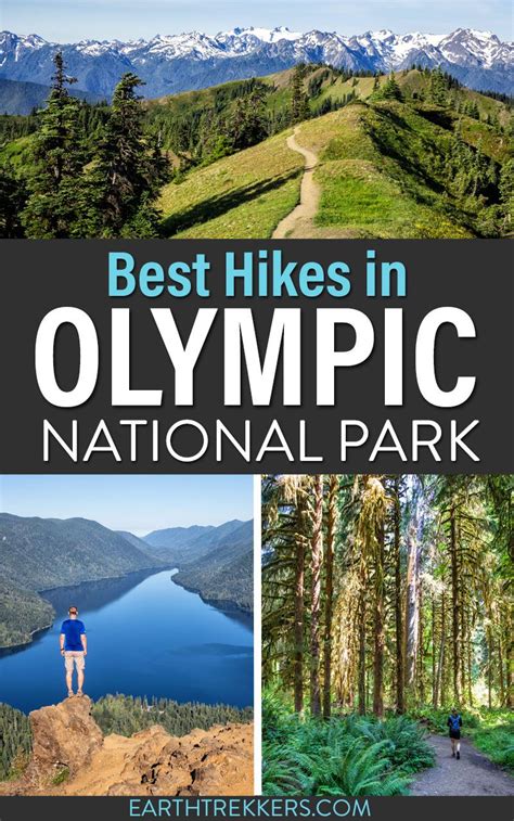 17 Great Hikes In Olympic National Park Map Amp Photos Earth Trekkers