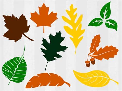 Today i'm sharing 10 fall svg files that you can download for free. Fall Leaves SVG and Clipart Leaf svg leaves svg leaf cut