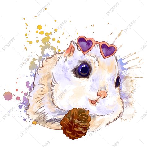 Hamster Watercolor Hand Painted Watercolor Hand Draw Animal Png
