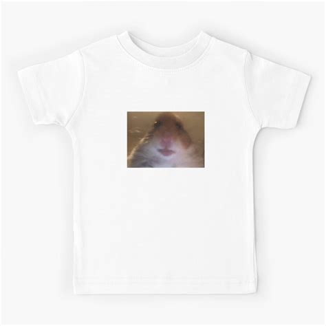 Staring Hamster Meme Kids T Shirt By Ohdeartia Redbubble