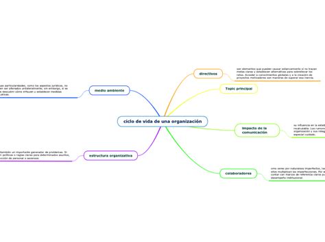 Ciclo De Vida De Una Organizaci N Mind Map