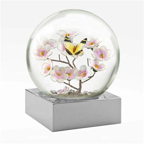 Butterfly On Cherry Blossom Snow Globe Unique Snow Globes Snow