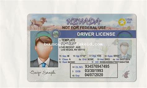 Nevada Drivers License Fake Scannable Scannable Fake Id Buy Best