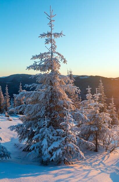 Premium Photo Winter Mountain Landscape With Snow Covered Trees In