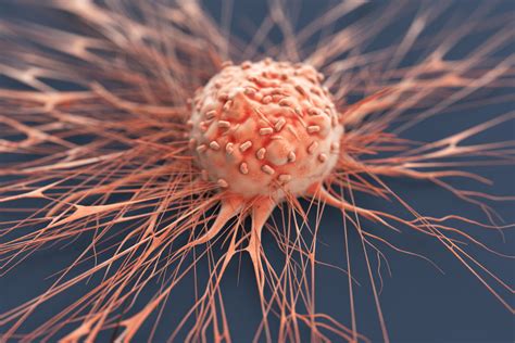 Cancer Cell Iron Addiction Exploited To Target Drug Conjugate To Tumors