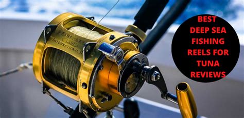 Best Deep Sea Fishing Reels For Tuna Reviews Buyers Guide Of