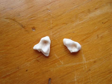 Nov 01, 2017 · 4 common signs a tooth filling has fallen out 1. Coco the School Dog: Teeth